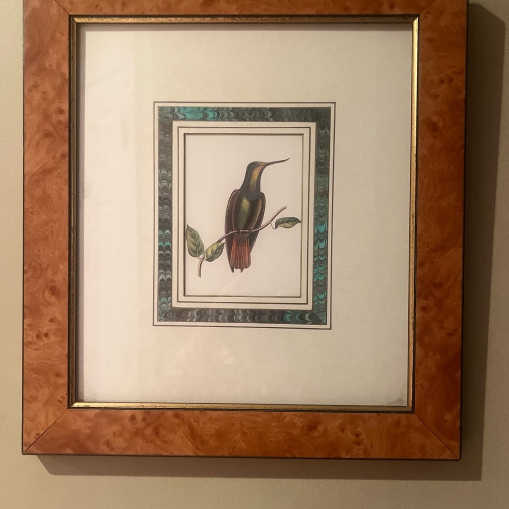 Elegant Framed Hummingbird Art in Brown and Green
